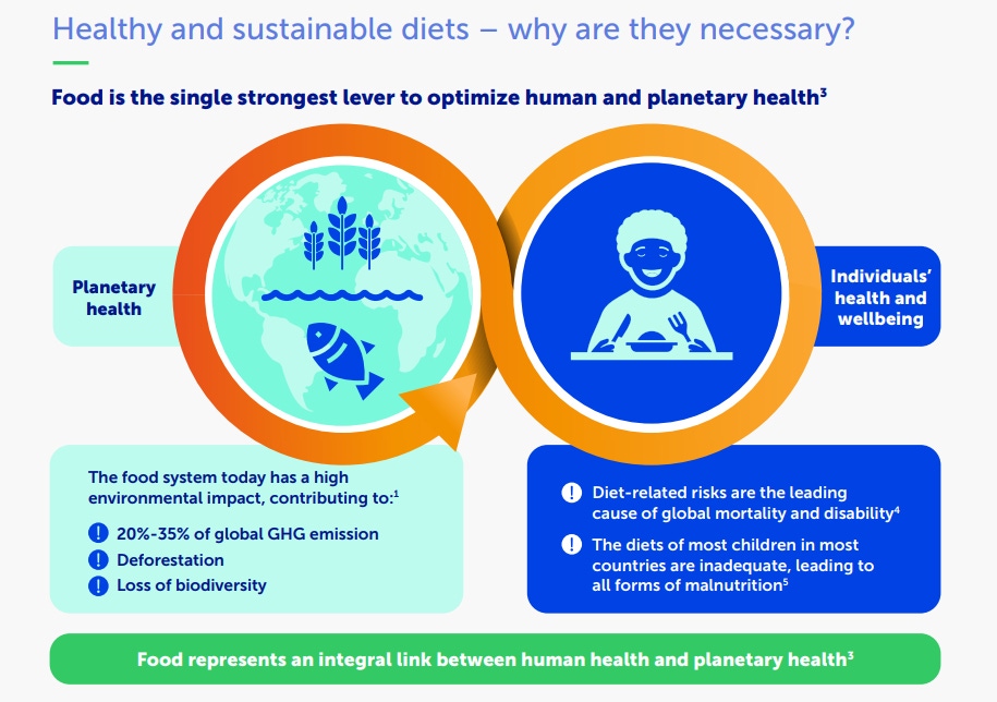 healthy-and-sustainable-nutrition-for-children